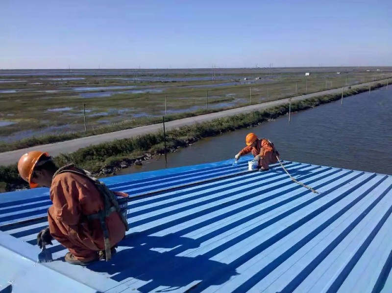 永城彩钢瓦屋面防腐翻新